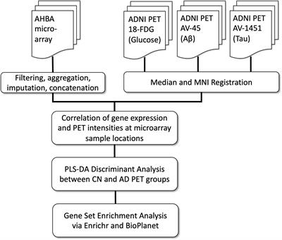 Alzheimer’s Disease-Related Genes Identified by Linking Spatial Patterns of Pathology and Gene Expression